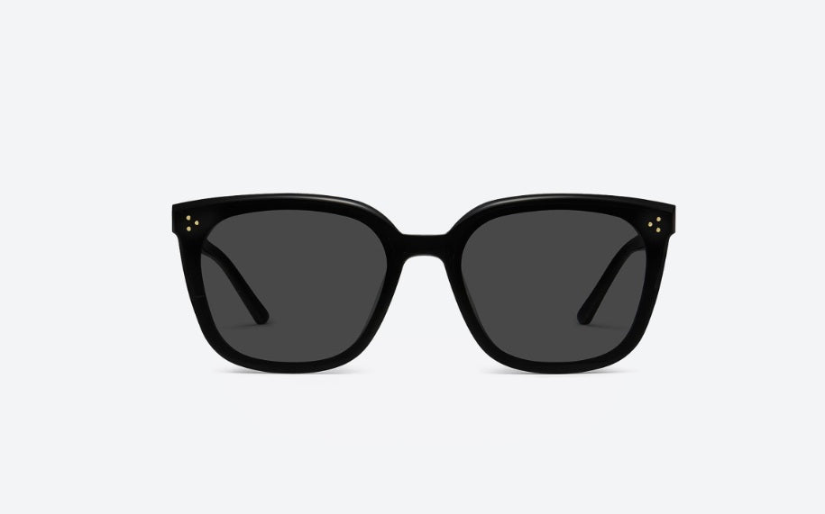 Gentle Monster Sunglasses (韓國代購)