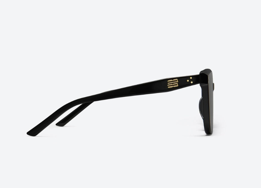 Gentle Monster Sunglasses (韓國代購)