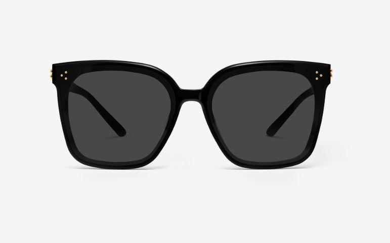 Gentle Monster Sunglasses (韓國代購)
